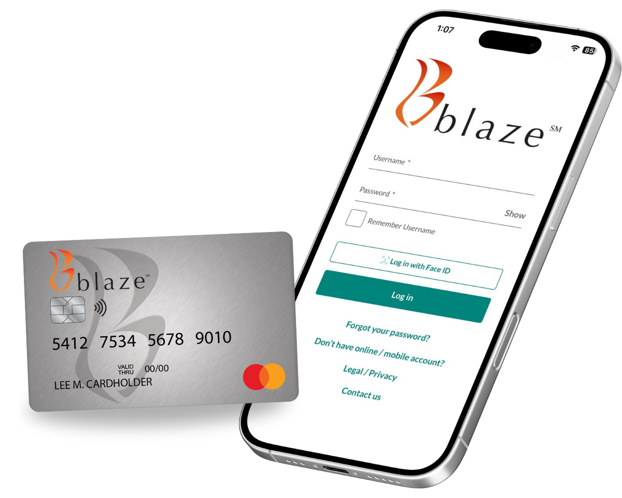Blaze Login